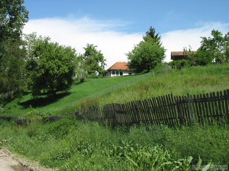 IMG_1244.jpg