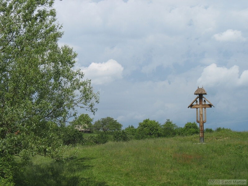 IMG_1262.jpg