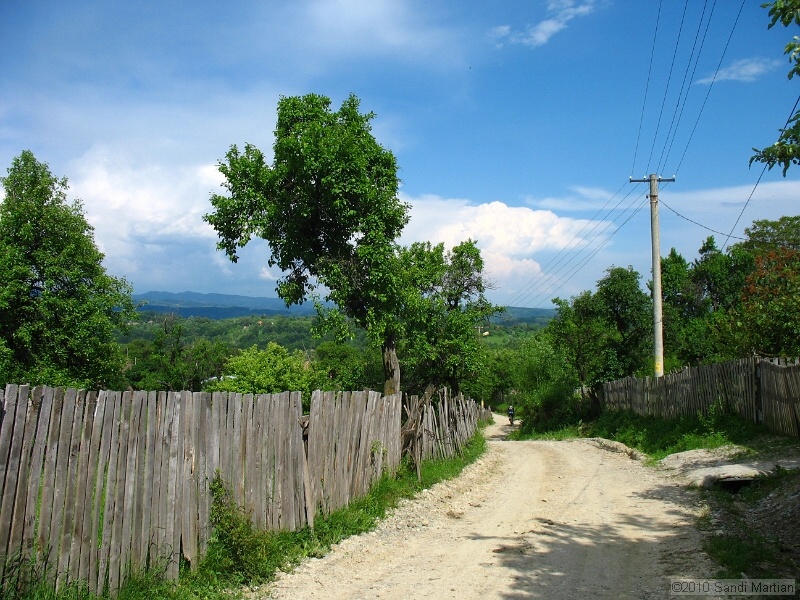 IMG_1333.jpg