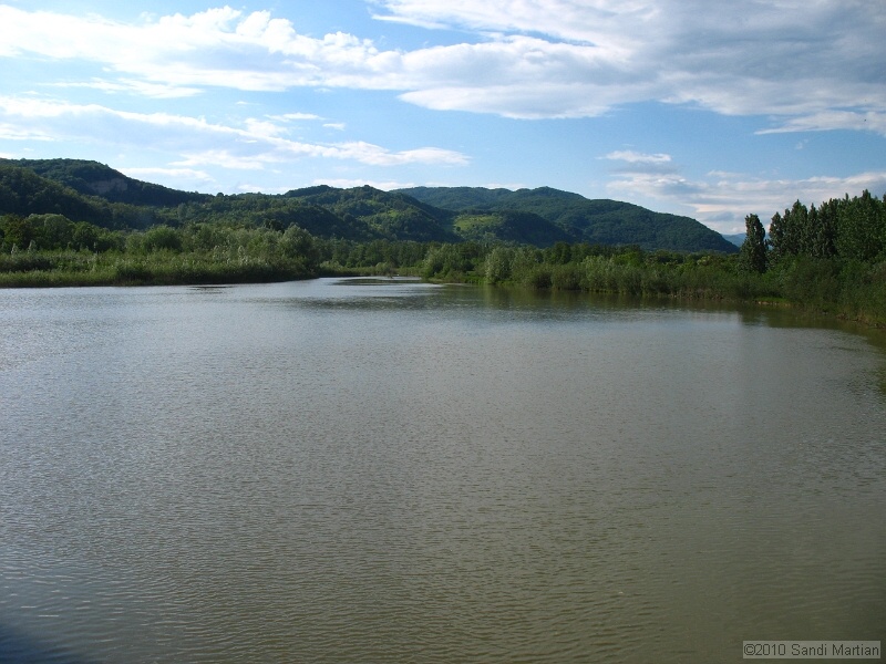 IMG_1352.jpg