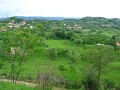 IMG_7614