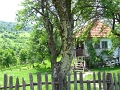 IMG_7650