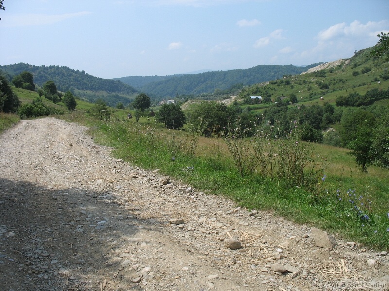 IMG_1594.JPG