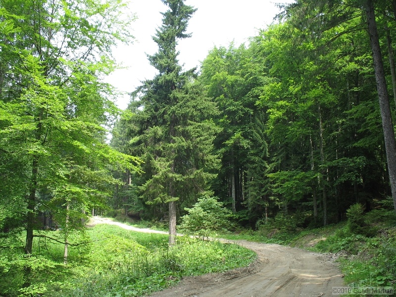IMG_1598.JPG