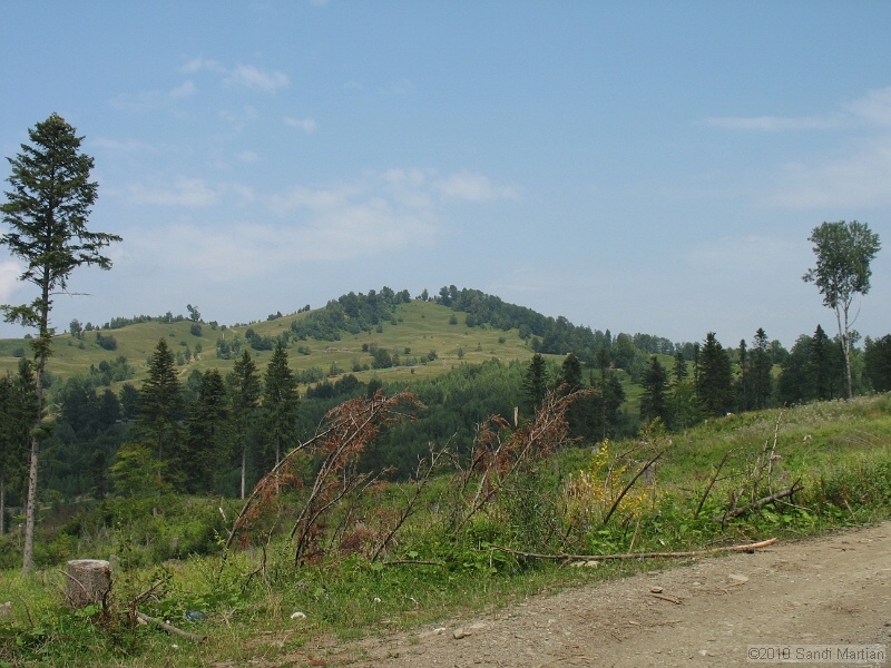 IMG_1613.JPG