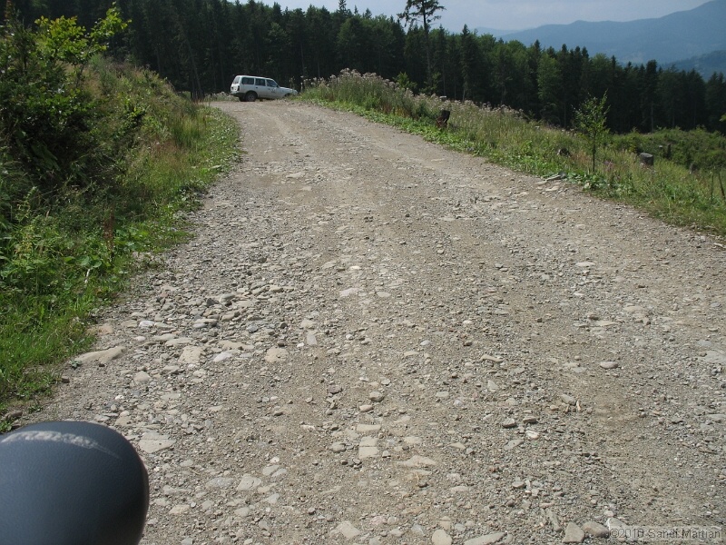 IMG_1618.JPG