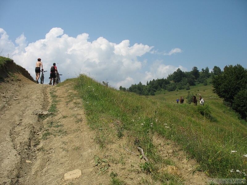 IMG_1637.JPG