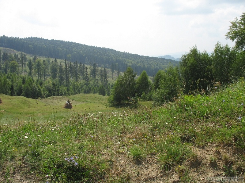 IMG_1641.JPG