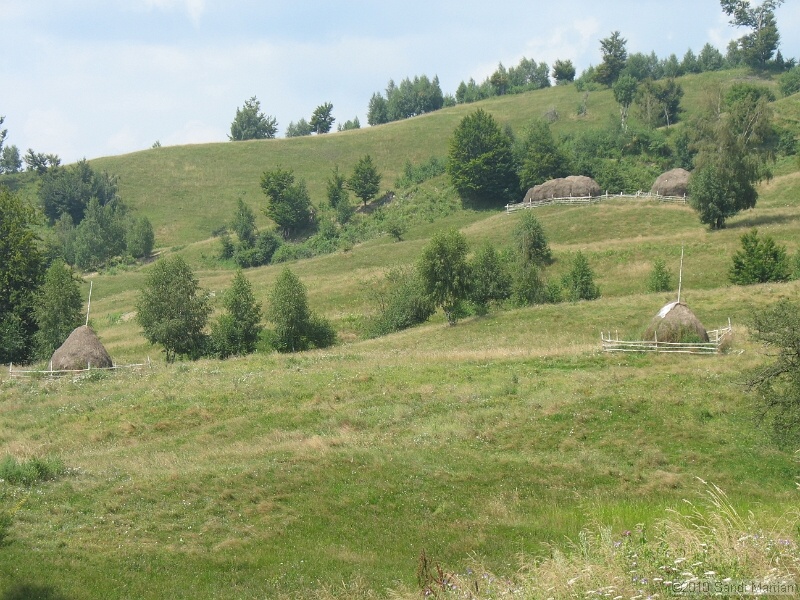 IMG_1647.JPG