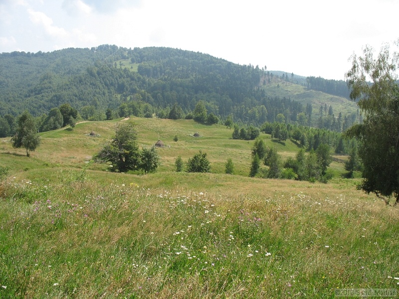 IMG_1664.JPG