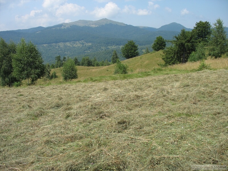 IMG_1666.JPG