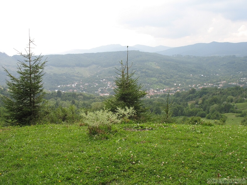 IMG_1677.JPG