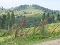 IMG_1614