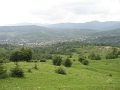 IMG_1678