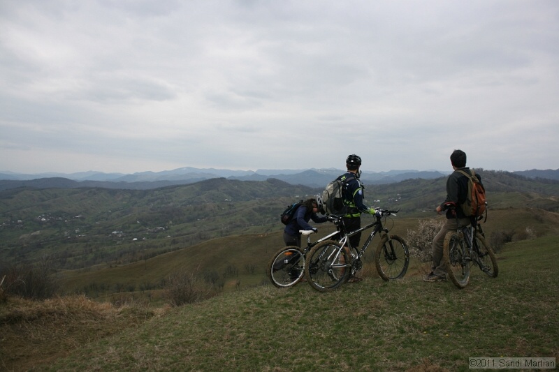 IMG_4972.JPG