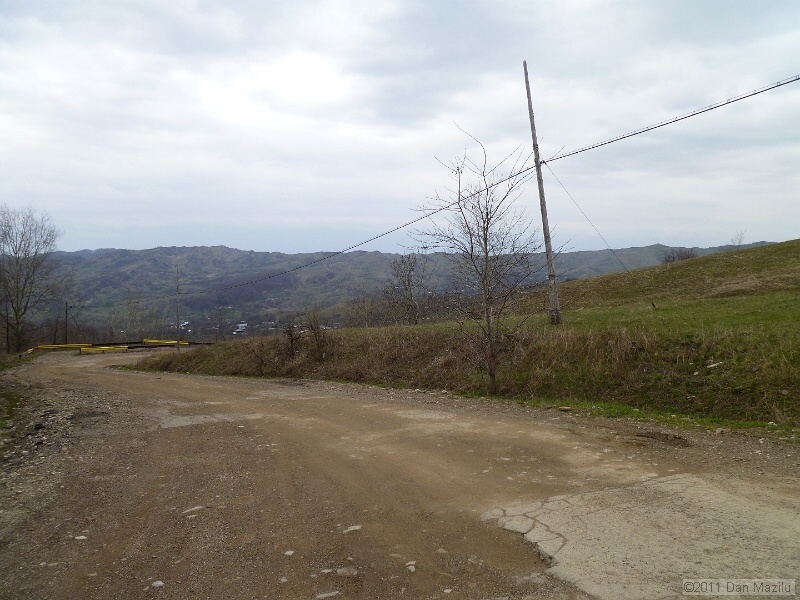 P1020547.JPG