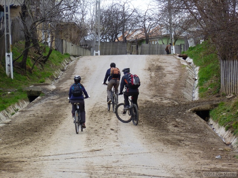 P1020553.JPG