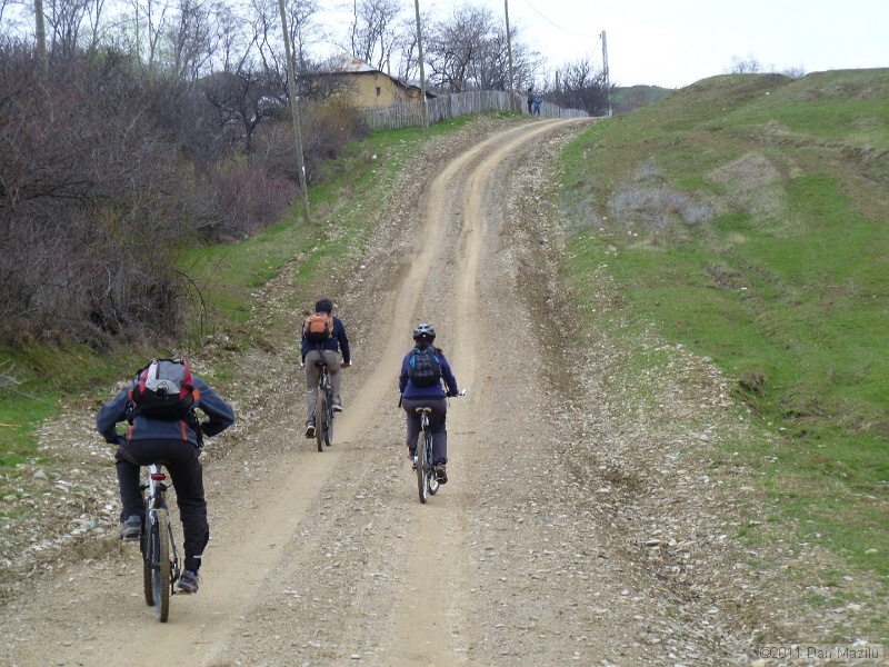 P1020565.JPG