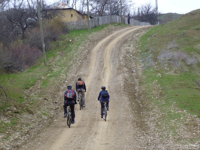 P1020567.JPG