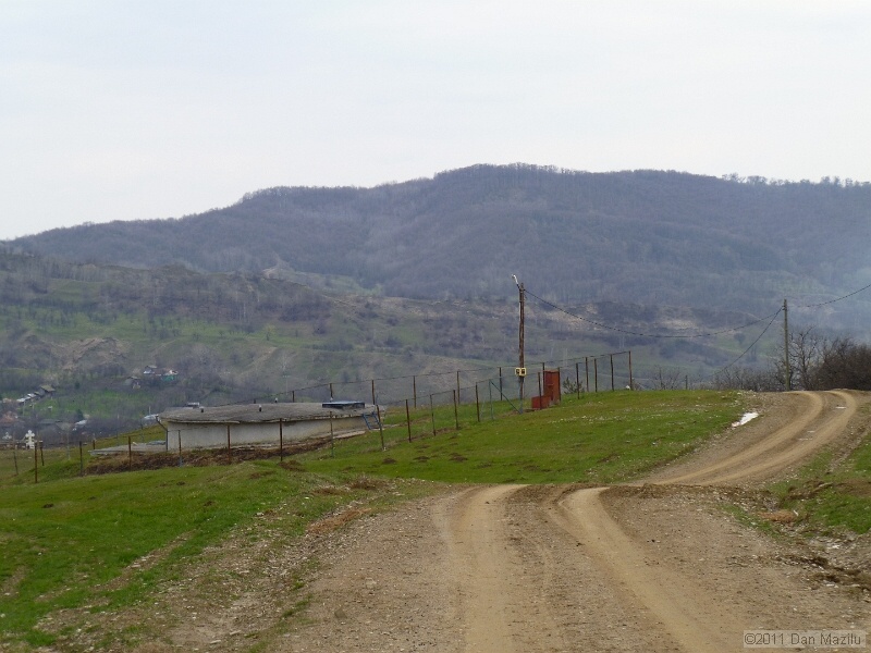 P1020568.JPG