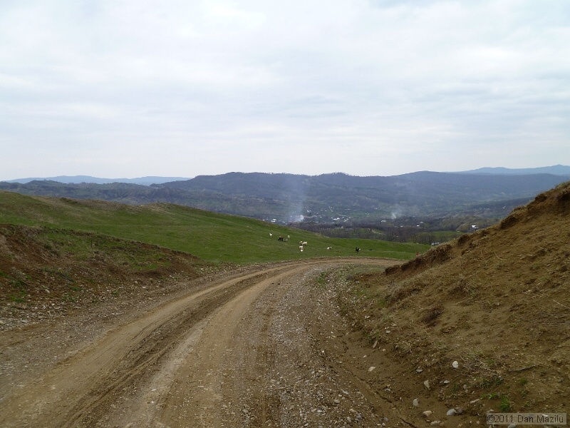 P1020572.JPG