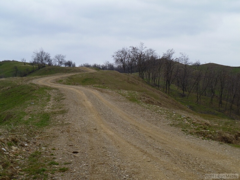 P1020574.JPG