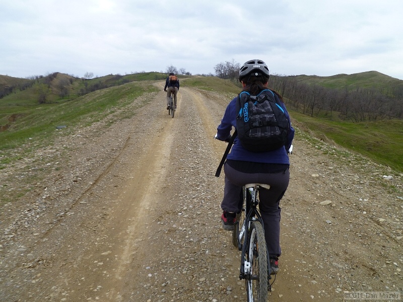 P1020575.JPG