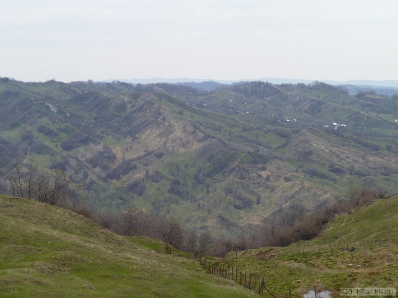 P1020583.JPG