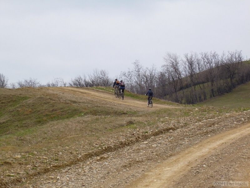 P1020589.JPG