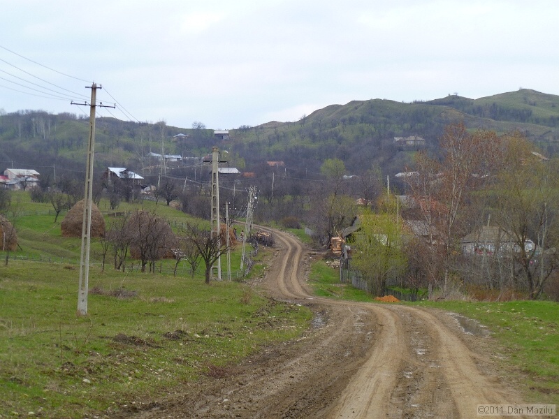 P1020630.JPG