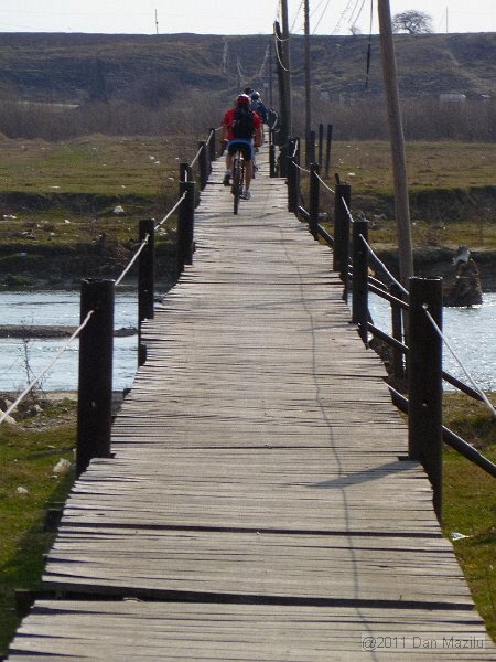 P1020356.JPG