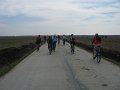 IMG_3347