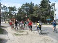 IMG_3377