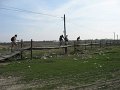 IMG_3425