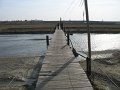 IMG_3436