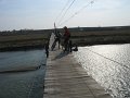 IMG_3439