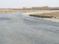 IMG_3441