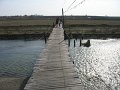 IMG_3444