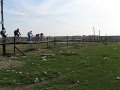 IMG_6831