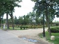IMG_6154