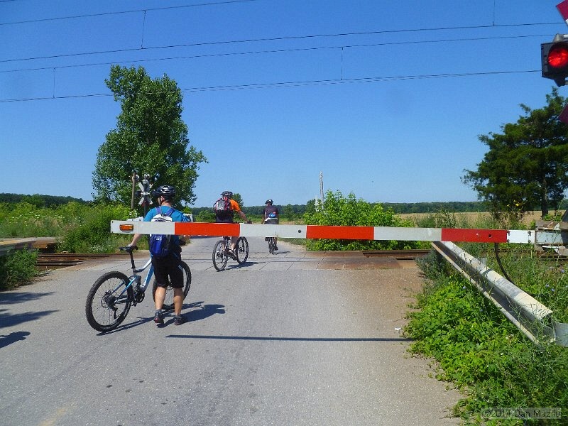 P1170593.JPG