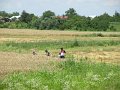 IMG_0444