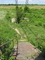 IMG_0446