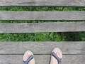 IMG_0467