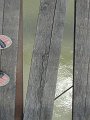 IMG_0468