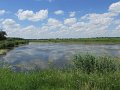 IMG_0484