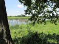 IMG_0489