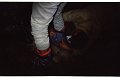 IMG2592