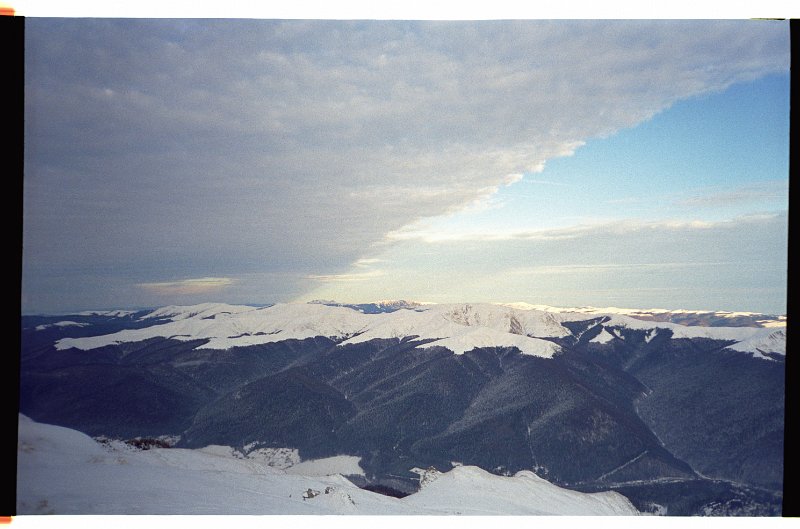 IMG2486.jpg