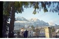 IMG2460